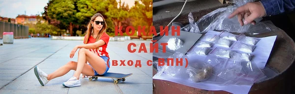 ГАЛЛЮЦИНОГЕННЫЕ ГРИБЫ Бородино