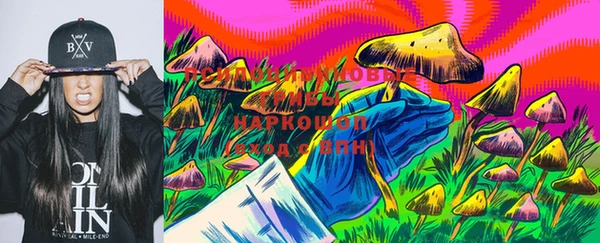 прущая мука Верхний Тагил