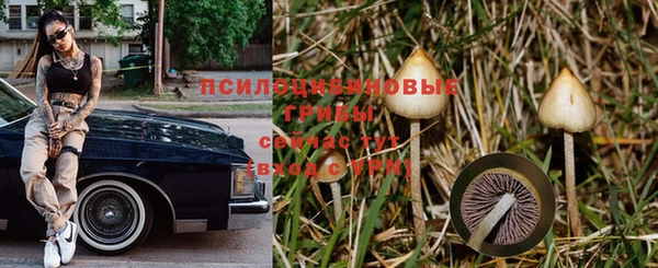 прущая мука Верхний Тагил